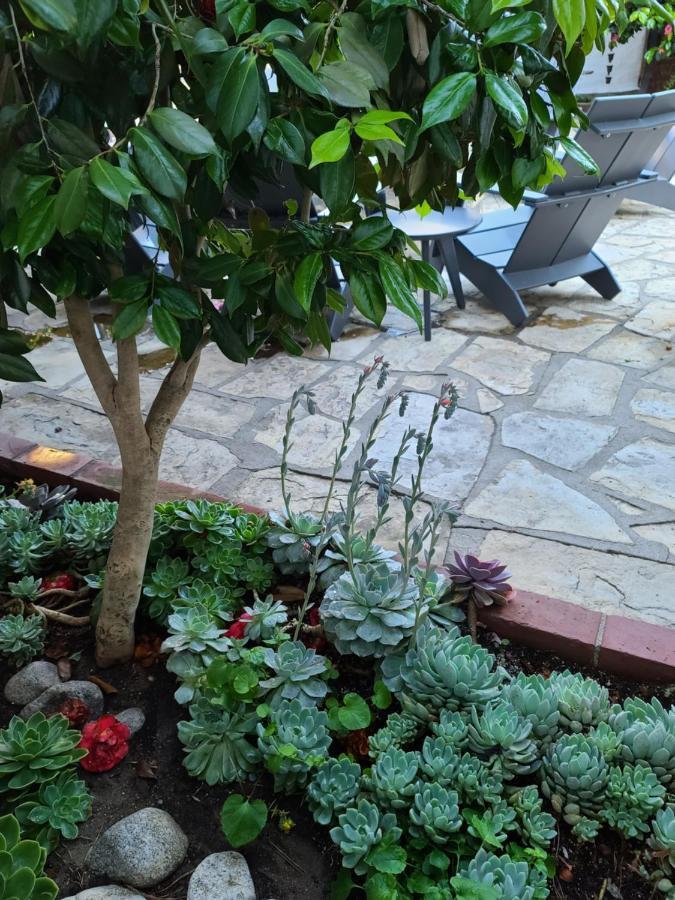 The Vagabond'S House Boutique Inn Carmel-by-the-Sea Eksteriør billede