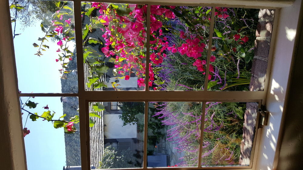 The Vagabond'S House Boutique Inn Carmel-by-the-Sea Eksteriør billede